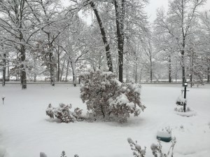 Evernote Camera Roll 20151121 143705